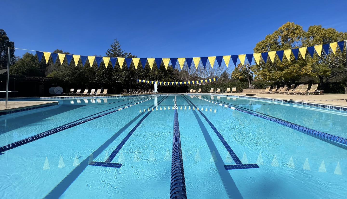 Image shows the Tomaree Aquatic Centre 50-metre outdoor heated Swimming Pool with empty lanes and triangle blue and yellow bunting hanging across the pool. It's a sunny day with clear blue skies.